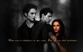 Twilight Saga - twilight-series fan art