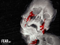 horror-movies - Xray Bleeding Skull wallpaper