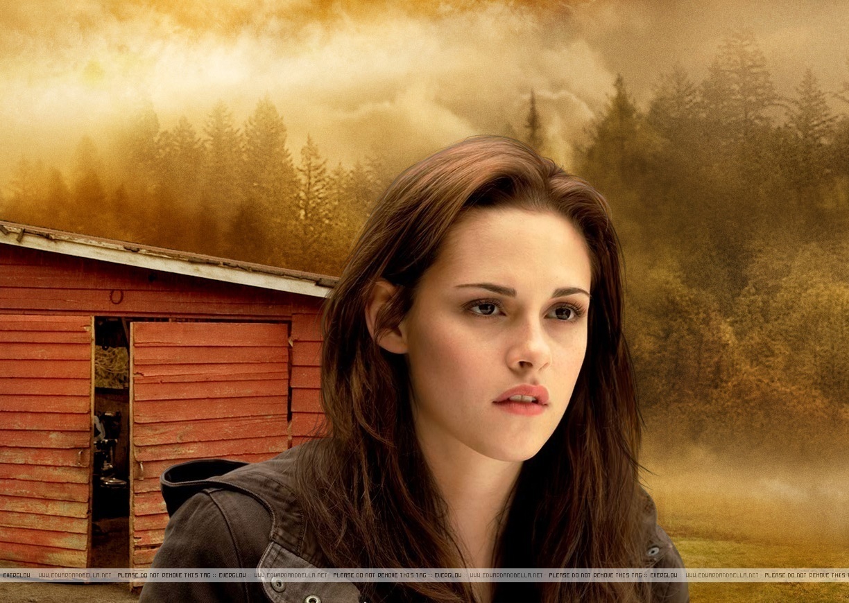 images, image, wallpaper, photos, photo, photograph, gallery, twilight girl...