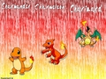 pokemon - pokémon 4ever wallpaper