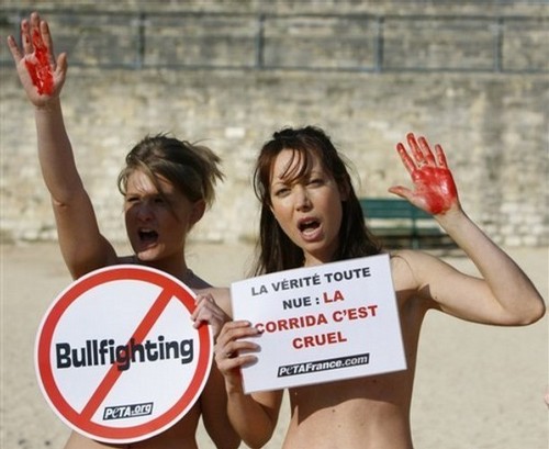  Against Bullfighting