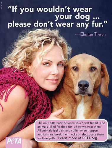  animais are not ours to wear