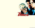 Bones <3 - bones wallpaper