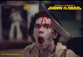 Dawn of the Dead - horror-movies photo