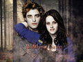 twilight-series - Edward and Bella Breaking Dawn wallpaper