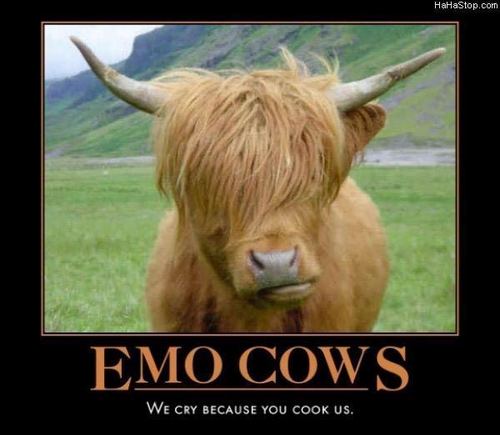  Эмо cow