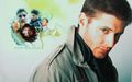 supernatural - Jensen <3 wallpaper
