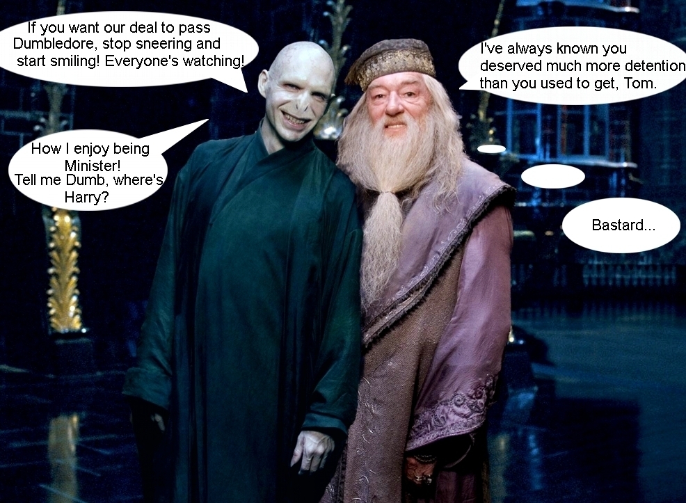 Lord Voldemort - Harry Potter Photo (7382057) - Fanpop