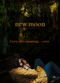 Love, Life, Meaning Over - new-moon-movie fan art