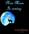 New Moon Is Coming - twilight-series fan art