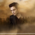 New Moon - New & AWESOME!!! - twilight-series photo
