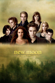 New Moon Posters! - twilight-series photo