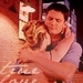 One Tree Hill - television icon