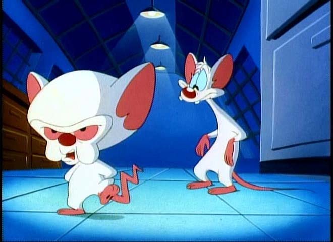 pinky and the brain. Pinky amp; the Brain