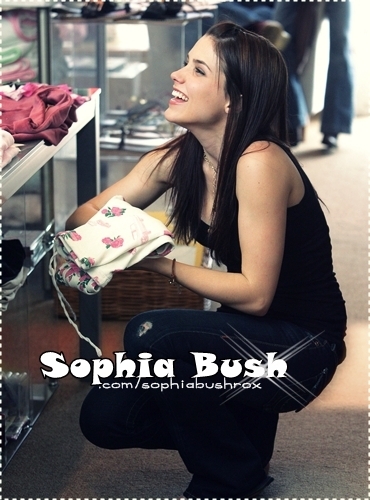  Sophia*