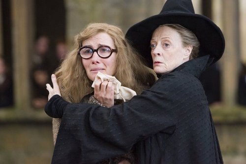  Sybill Trelawney&Minerva McGonagall