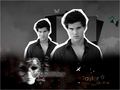 Taylor Lautner  - twilight-series wallpaper