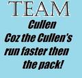 Team Cullen - twilight-series fan art
