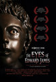 The  Eyes of Edward James Poster - horror-movies photo
