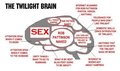 They call it the Twilight brain, i think my brain works like that :D - twilight-series photo