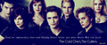 Twilight Series - twilight-series fan art
