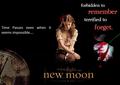 Twilight_Saga! - twilight-series fan art