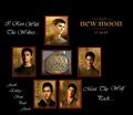 Twilight_Saga - twilight-series fan art