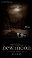 my new moon poster :) - twilight-series fan art