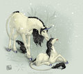 In The Snow - unicorns photo