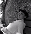 Audrey - 1950 - audrey-hepburn photo