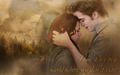 twilight-series - Bella and Edward  wallpaper