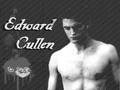 twilight-series - how many edward's name can u see?? guess.. wallpaper