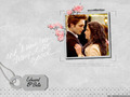 edward-and-bella - Edward & Bella <3 wallpaper