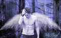 Edward Cullen - My angel - twilight-series wallpaper