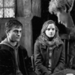 Harry Ron&Hermione - harry-ron-and-hermione icon