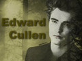 twilight-series - How many edward's name can u see?? guess.. wallpaper