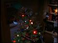 JD, Turk and Carla's Christmas Tree :P - scrubs screencap