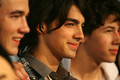 Jb-Pictures - the-jonas-brothers photo