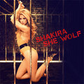 Merchandise Loba / She Wolf  - shakira photo
