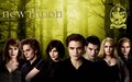 twilight-series - HD New Moon Wallpaper - The Cullens wallpaper
