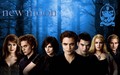 HD New Moon Wallpaper - The Cullens - twilight-series wallpaper