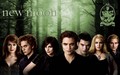 twilight-series - HD New Moon Wallpaper - The Cullens wallpaper