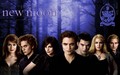 HD New Moon Wallpaper - The Cullens - twilight-series wallpaper