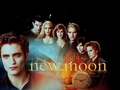 New Moon - twilight-series wallpaper