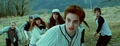 The Cullens - the-cullens fan art