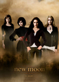 The women of the cullens - twilight-series photo