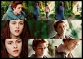 Twilight Picspam - the-cullens fan art