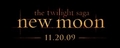 Twilight and New Moon images with no BG for whatever you want to do :) - twilight-series photo