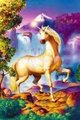 Unicornio - unicorns photo