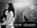 new moon - twilight-series fan art